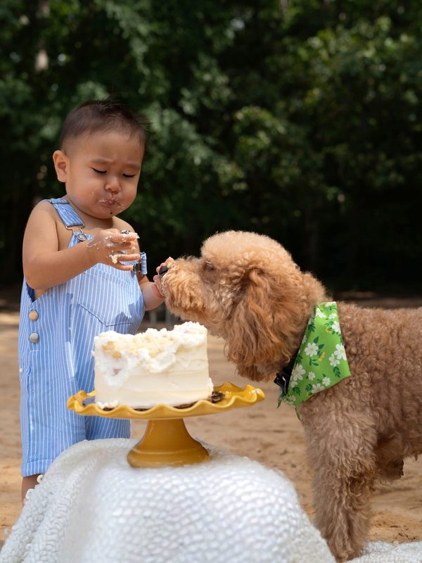 One-year-old sharing his birthday cake with the family dog